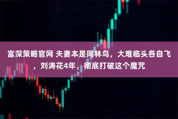 富深策略官网 夫妻本是同林鸟,大难临头各自飞,刘涛花4年,彻底打破这个魔咒