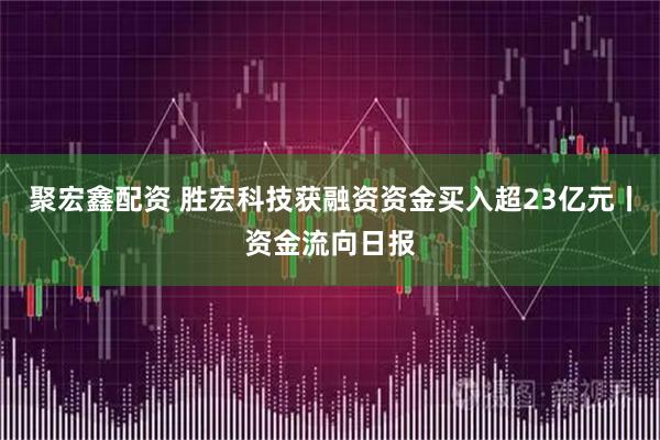聚宏鑫配资 胜宏科技获融资资金买入超23亿元丨资金流向日报