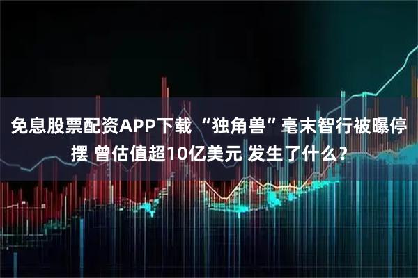 免息股票配资APP下载 “独角兽”毫末智行被曝停摆 曾估值超10亿美元 发生了什么？